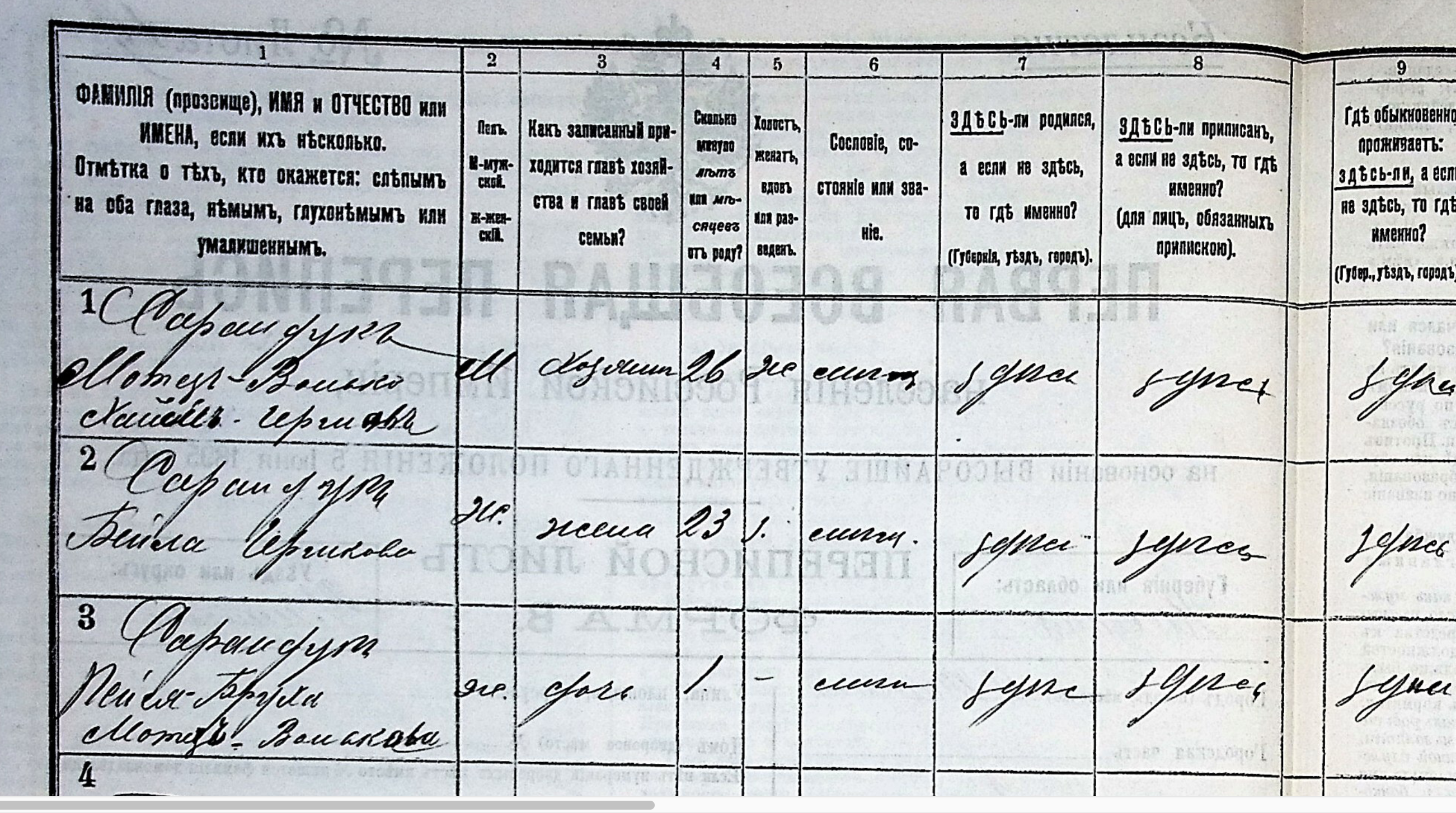 Featured image for A Wolf Who Did Not Become Shore