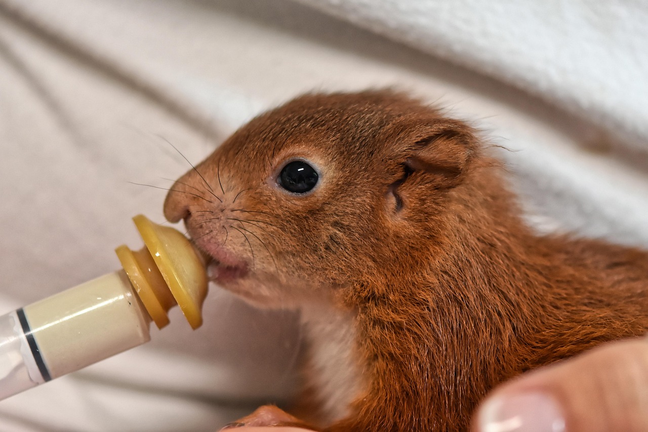 Featured image for Eat / Feed / Teach / Learn